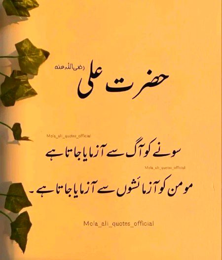 Islamic Quotes image