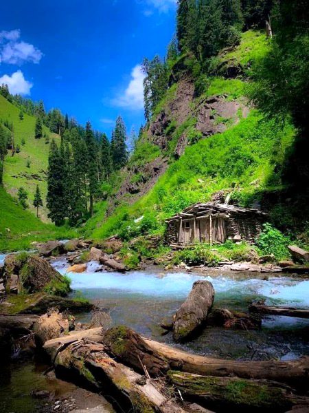 Beautiful Nature image