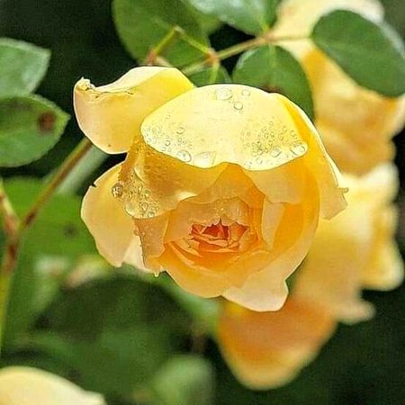 Beautiful Nature image