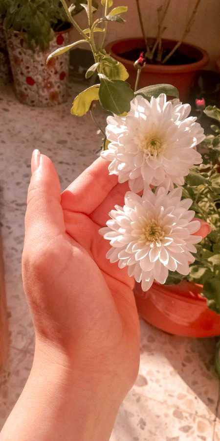 Beautiful Nature image