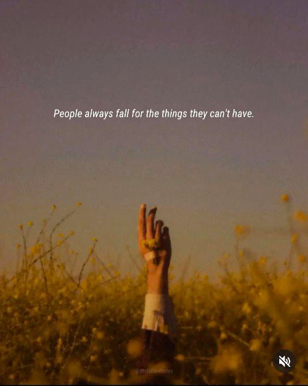 ⁦🖤🥀⁩⁦⁦
(ー💯ー)
✨