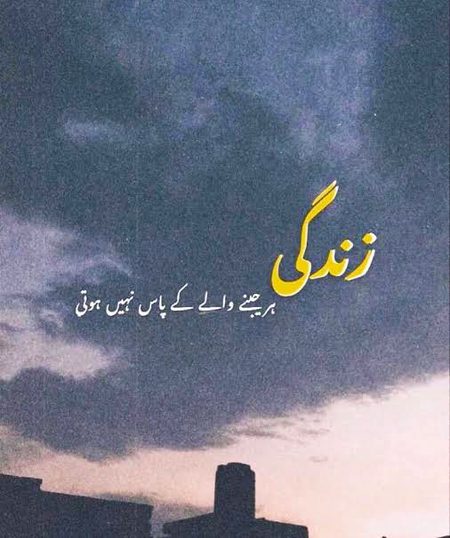 🍁🍁🍁🍁🍁🍁