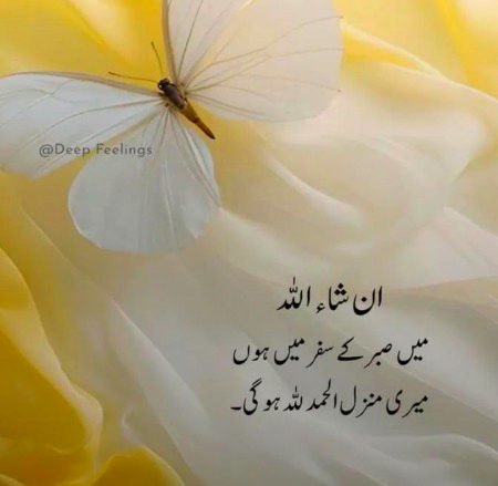 Motivational Quotes image