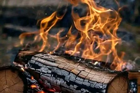 جن کے پاس کھونے کو کچھ نہیں رہتا سوائے زندگی کے
وہ خوف سے آزاد ہو جاتے ہیں.