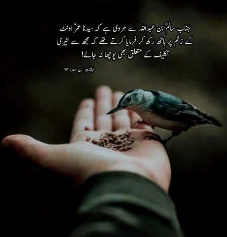 Islamic Quotes image