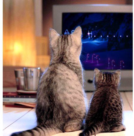 Beautiful Nature image