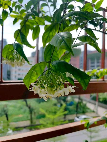 Beautiful Nature image