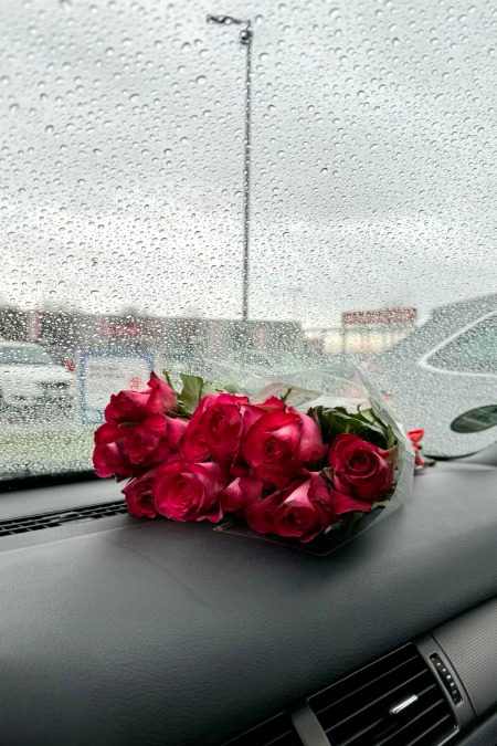 Beautiful Nature image