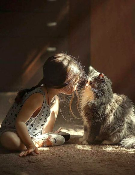 Beautiful Nature image