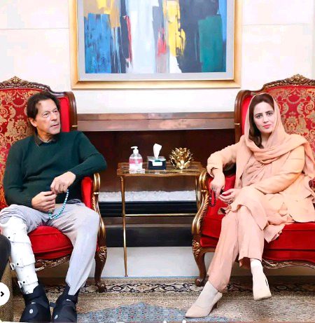 Pakistani Celebs image