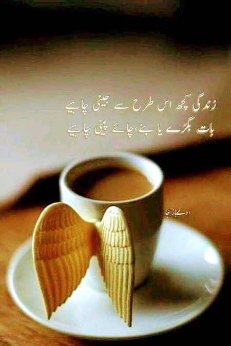 Saanaam ❣️❣️ blkl apki trhn