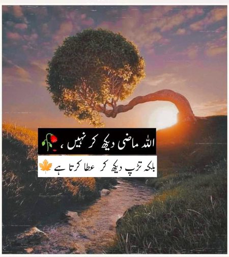 Islamic Quotes image