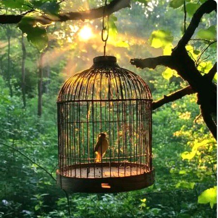 Beautiful Nature image