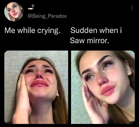 Memes & Satire image