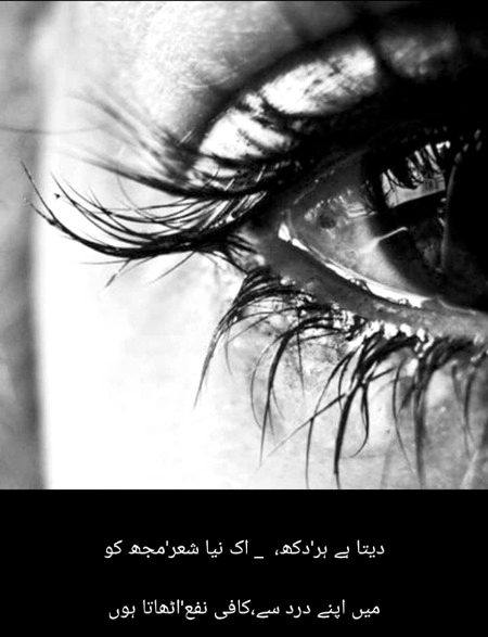 دیتا ہے ہر'دکھ،  _ اک نیا شعر'مجھ کو
میں اپنے درد سے،کافی نفع'اٹھاتا ہوں