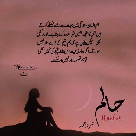 Romantic Novels image