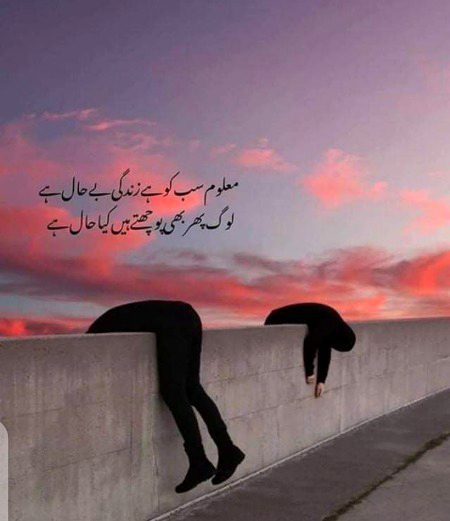 کیا حال ہے۔۔۔۔