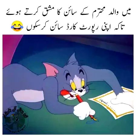 Memes & Satire image