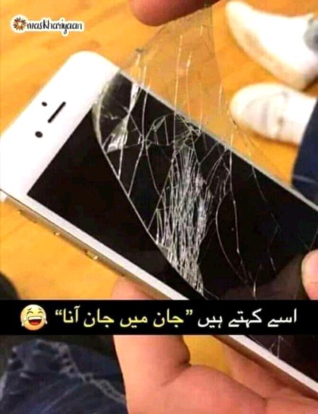 Memes & Satire image