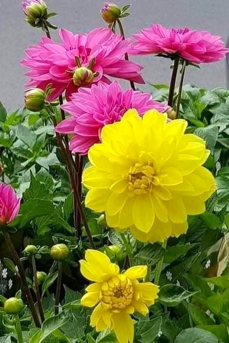 Beautiful Nature image