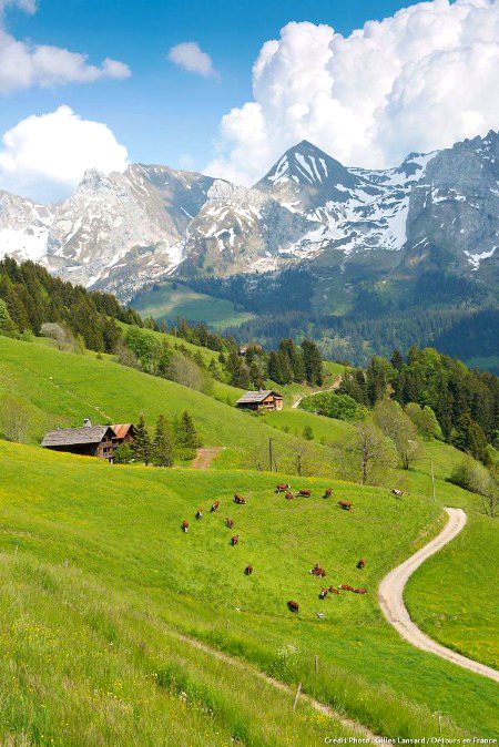 Beautiful Nature image