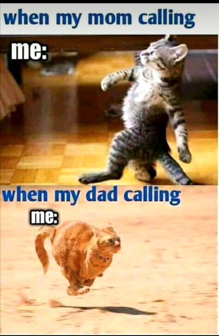 Memes & Satire image