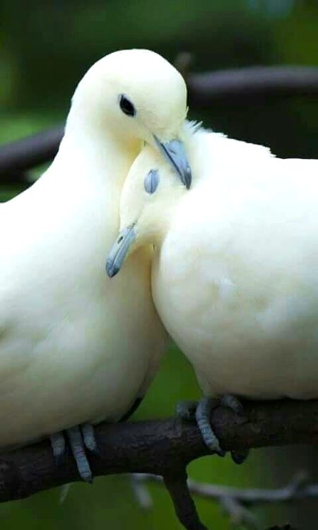 Beautiful Nature image