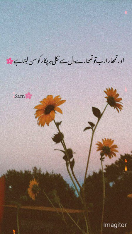 اور تمھارا رب تو تمھارے دل سے نکلی ہر پکار کو سن لیتا ہے🌸🌺
