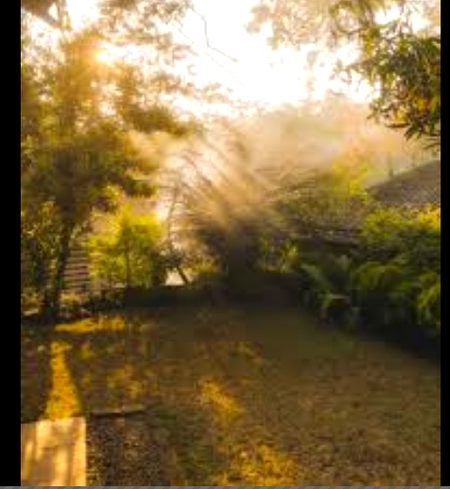 Beautiful Nature image