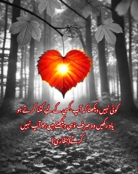 Saanaam ❣️❣️ blkl