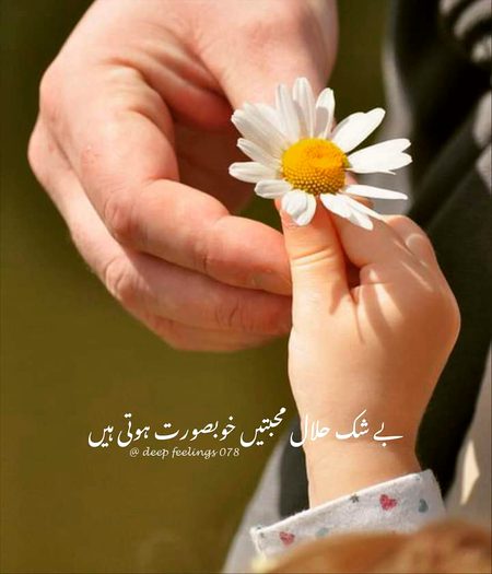 Romantic Poetry image