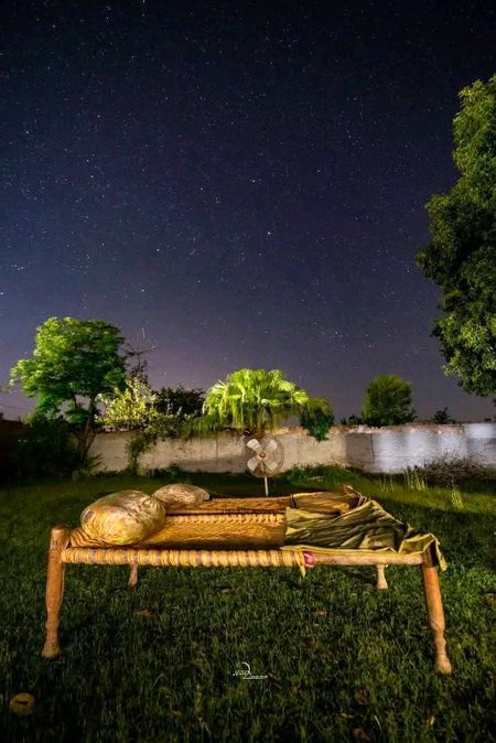 Beautiful Nature image