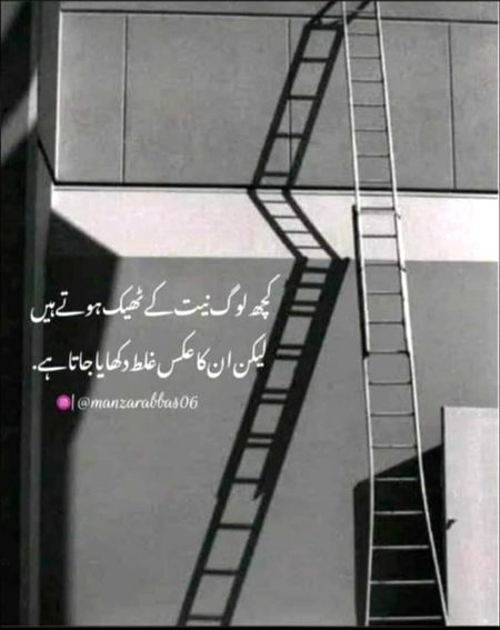 Life Advice image