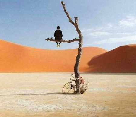 ایک لڑکا ایک وقت میں ناجانے کتنی چیزوں سے لڑ رہا ہوتا ہے
دکھ، ماضی، فیوچر، ماں، باپ، تعلیم، سوسائٹی، دھوکہ، فراڈ، جھوٹ، سچ، گناہ، ثواب،
حلال، حرام، بے چینی، جینا، مرنا — پر یہ نہیں پتا کہ اگر اُس وقت بھی اس کا من پسند اسے اذیت دے،
تو وہ کیا کرے؟