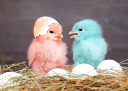 Kitne paly han 😍😟😞