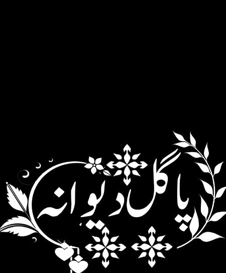 Saanaam tmharaa❣️❣️