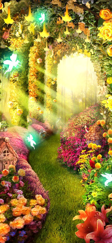 Beautiful Nature image