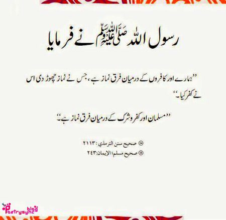 Islamic Quotes image