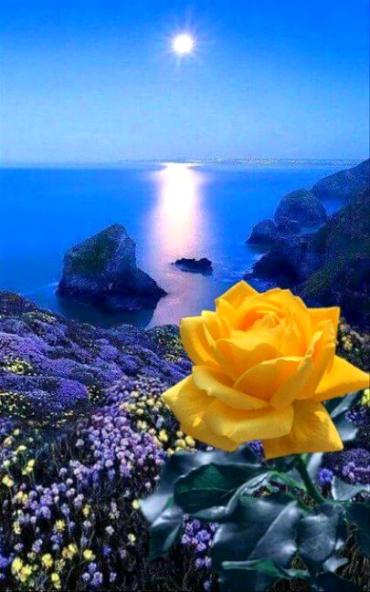 Beautiful Nature image