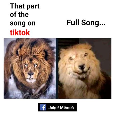 Memes & Satire image