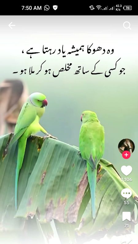 ٱلسَّلَامُ عَلَيْكُمْ وَرَحْمَةُ ٱللّٰهِ وَبَرَكَاتُهُ!