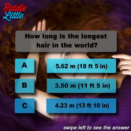 Knowledge Test image