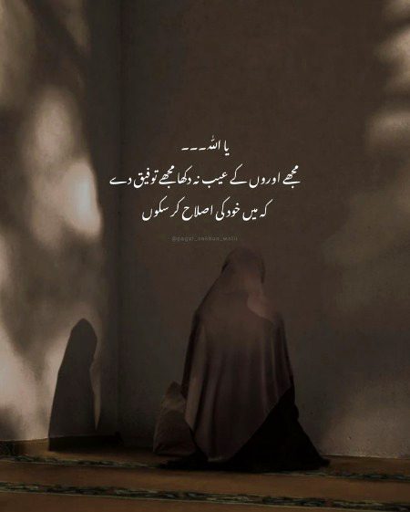 🌹🌷🪷🦋🌞🪄...