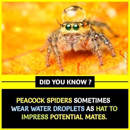 Interesting Posts image