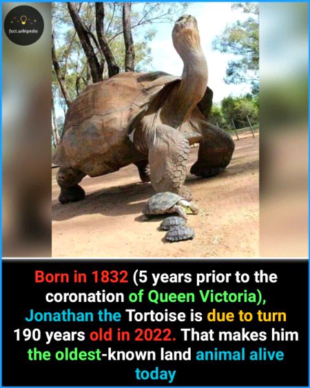 Interesting Posts image