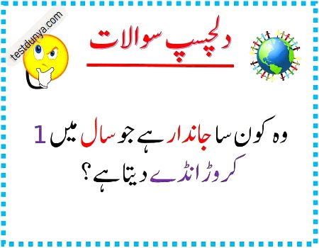 Riddles & Puzzles image