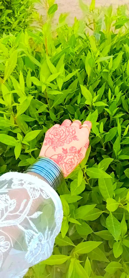 Mehndi Design image
