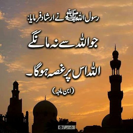 Islamic Quotes image