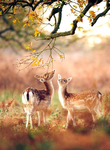 Beautiful Nature image