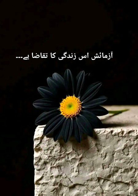 دل جل کے راکھ ہوا، تب روشنی ملی،
زخموں میں درد نہیں، کوئی نِیّا ملی۔
انسان گیا تو سکون آ گیا،
محبت فنا ہوئی، تو خالق مل گیا۔